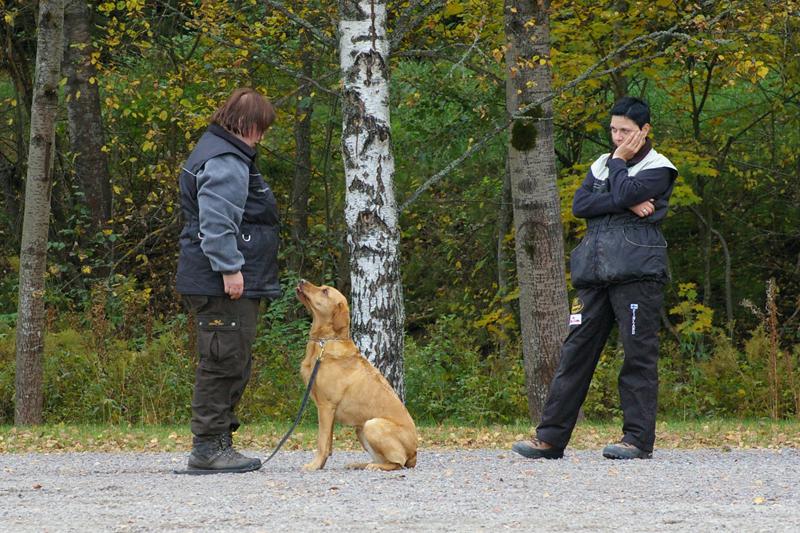 PK kurssi (32).jpg